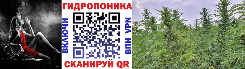 Экстази Петушки