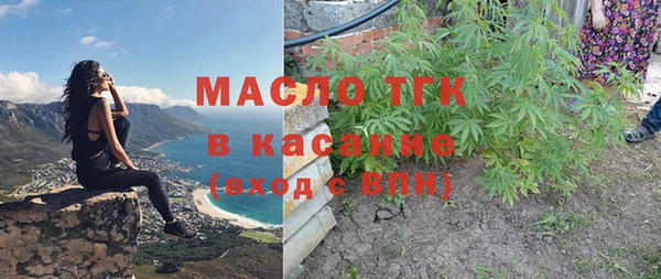 дмт Алексин